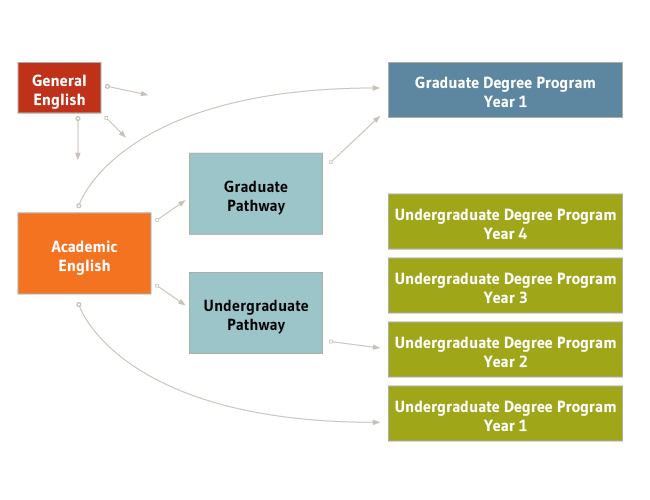 Program Progression diagram